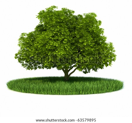 Green Tree Pictures