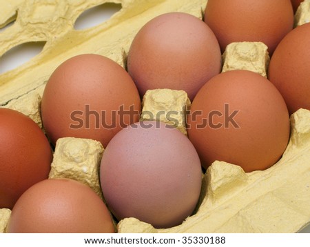 Chicken egg food carton package isolated on white