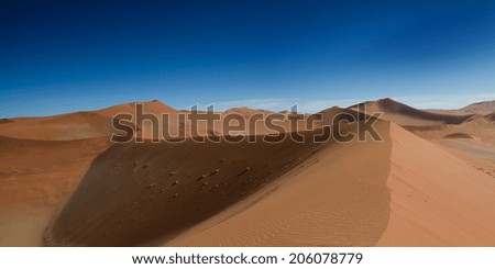 On the top of the sand dune, Sossusvlei, Namibia