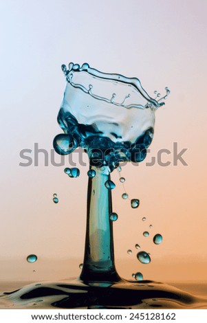 Water sculpture - Yet Another Broken Glass - High Speed Photography