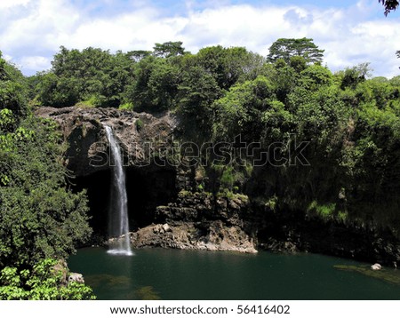 Big Island Rainforest