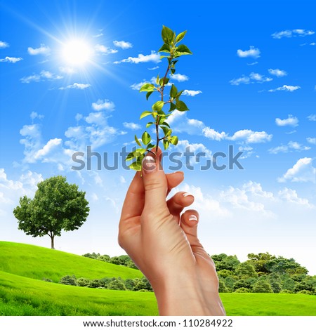 Hands holding green sprouts and sunny sky