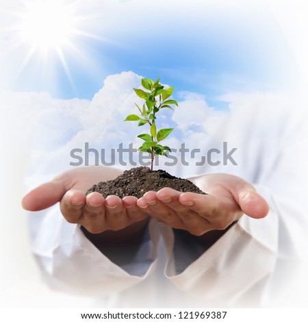 Hands holding a plant growing out of the ground, on white background close-up