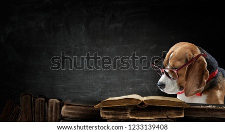 Dog study science. Mixed media