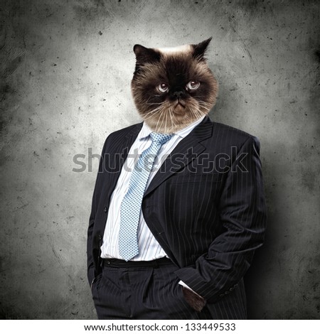 Funny Fluffy Cat In A Business Suit Businessman. Collage