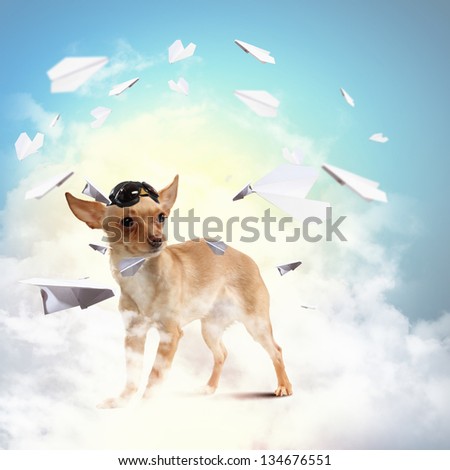 Funny dog portrait on a light background. Collage.