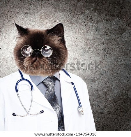 Funny fluffy cat doctor in a robe and glasses. collage