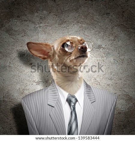 Funny portrait of a dog in a suit on an abstract background. Collage.