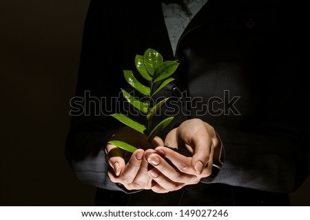 Close up of businesswoman hands with sprout in palms