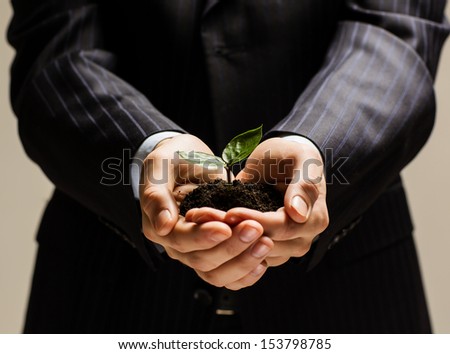 Close up of businessman hands with sprout in palms