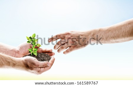 Close up image of human hands holding sprout