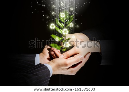 Green sprout in human hands. Recycle idea
