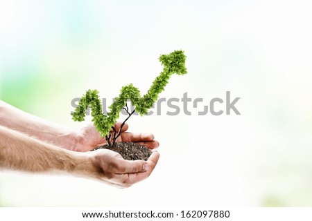 Image of human hands holding plant shaped like arrow