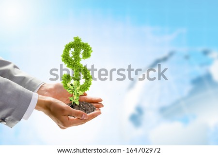 Image of human hands holding plant shaped like dollar