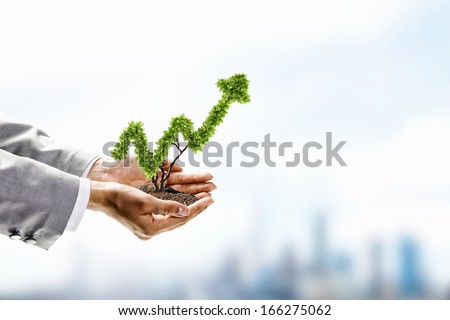 Image of human hands holding plant shaped like arrow