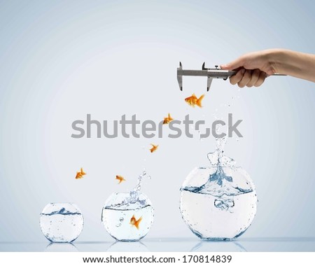 Aquarium with gold fish jumping out of water