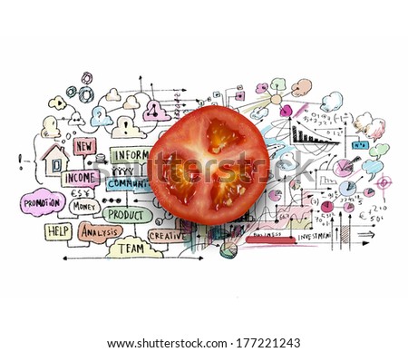 Tomato half against background with business sketches