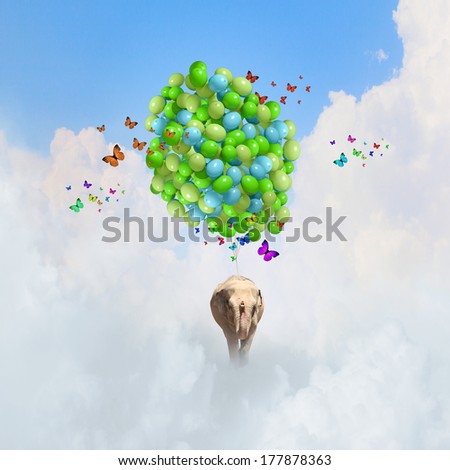 Elephant Flying In Sky On Bunch Of Colorful Balloons
