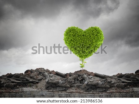 Conceptual image with green heart growing on ruins