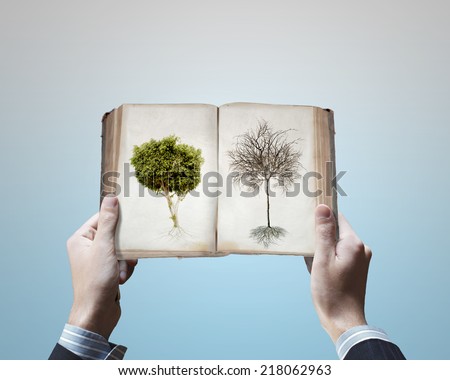 Close up image of male hands holding opened book