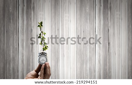 Close up of human hand holding sprout