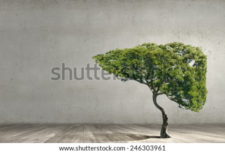 Conceptual image of green tree shaped like human liver
