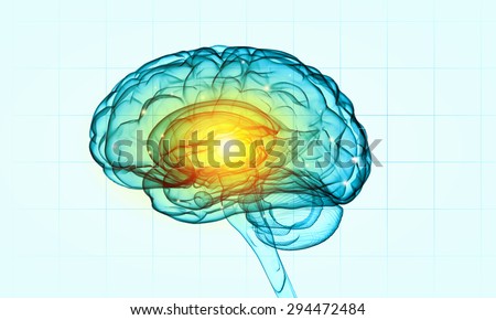 Concept of human intelligence with human brain on white background