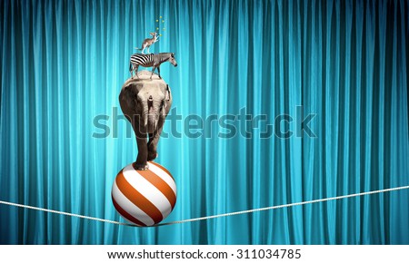 Circus animals standing in stack and balancing on rope