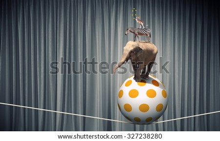 Circus animals standing in stack and balancing on rope