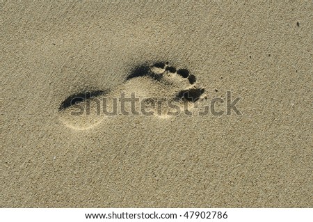 imprint of human feet