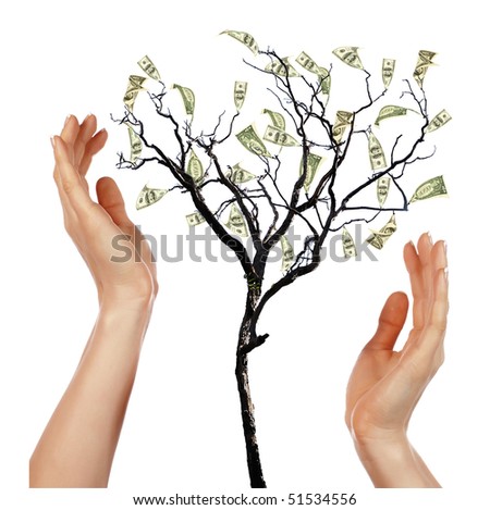 money tree. and money tree - a symbol