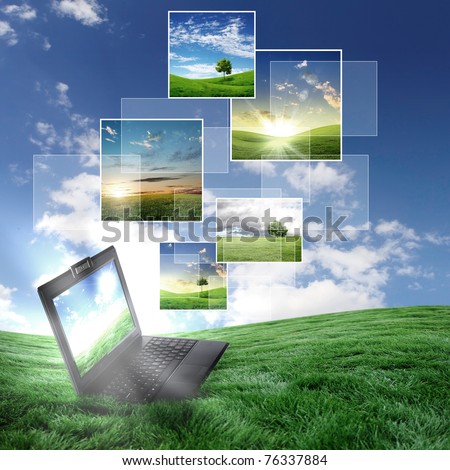 volor collage of notebook against green nature background