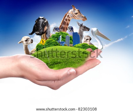 essay on wildlife protection in india essay on wildlife protection in india