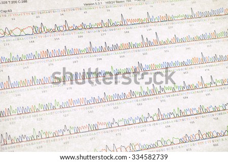 DNA sequencing result sheet
