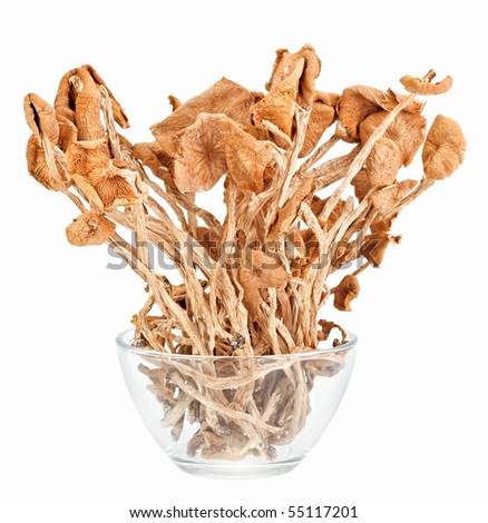 Dried armillaria (fairy-ring ) mushrooms in a glass bowl isolated on white