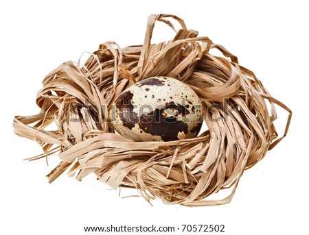 Straw Nest