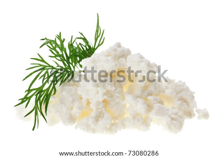Cottage cheese (curd) heap with dill twig, isolated on white