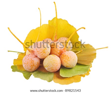 Ginkgo Biloba fruits heap over leaves isolated on white