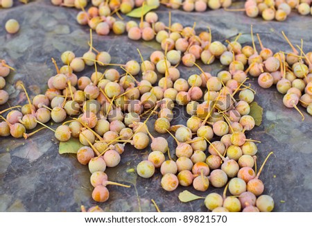 Ginkgo Biloba fruits heap lying over leaves, outdoor shot