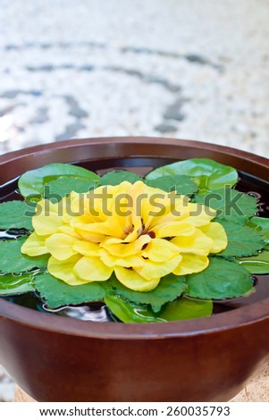 Bowl of water and flowers in a spa with Zen-circles on the floor