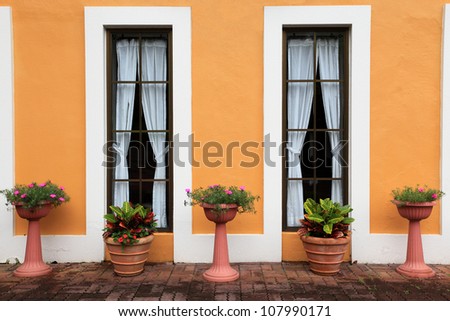 Flower pots at the symmetric French window background