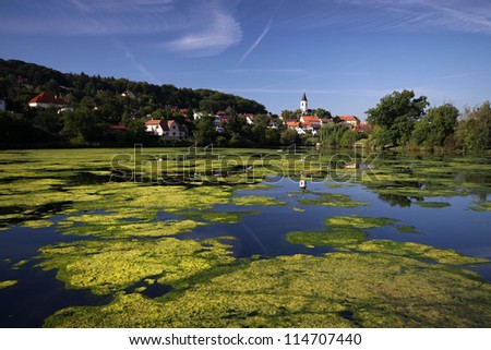 Pond with lot of water weed and the village in the background