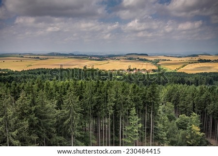 Flat rural land with forest in the front