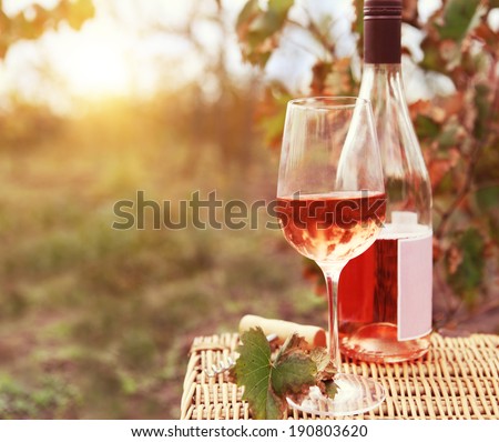 One glass and bottle of the rose wine in autumn vineyard. Harvest time