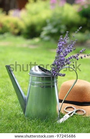Lavender in watering can, hat and scissors in the summer garden