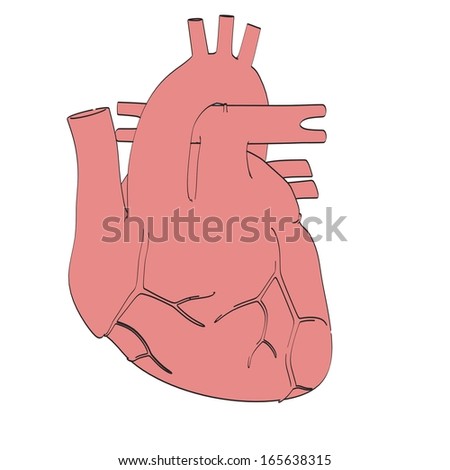 Cartoon Image Of Human Heart Stock Photo 165638315 : Shutterstock