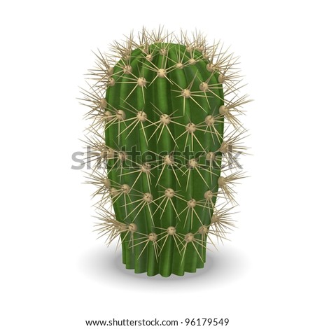 cactus flower clipart
