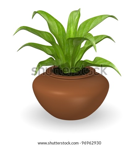 Simple Plant