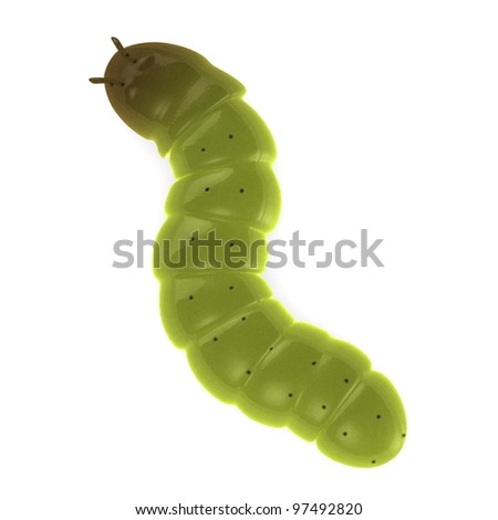 Worm Insect