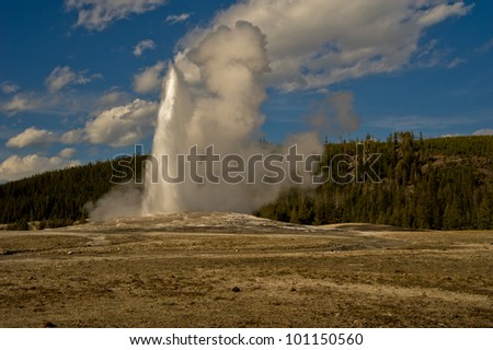 Old Faithful erupts on a beautiful spring day in Yellowstone National Park, USA